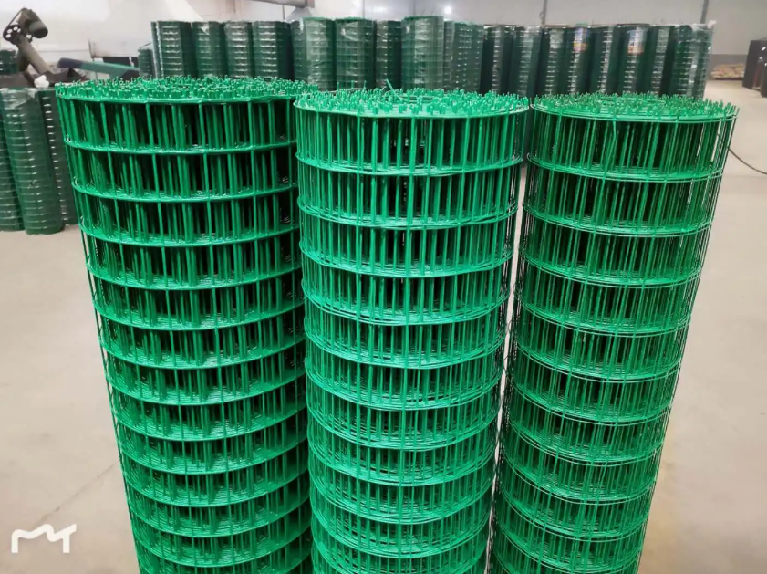 赤水荷兰网